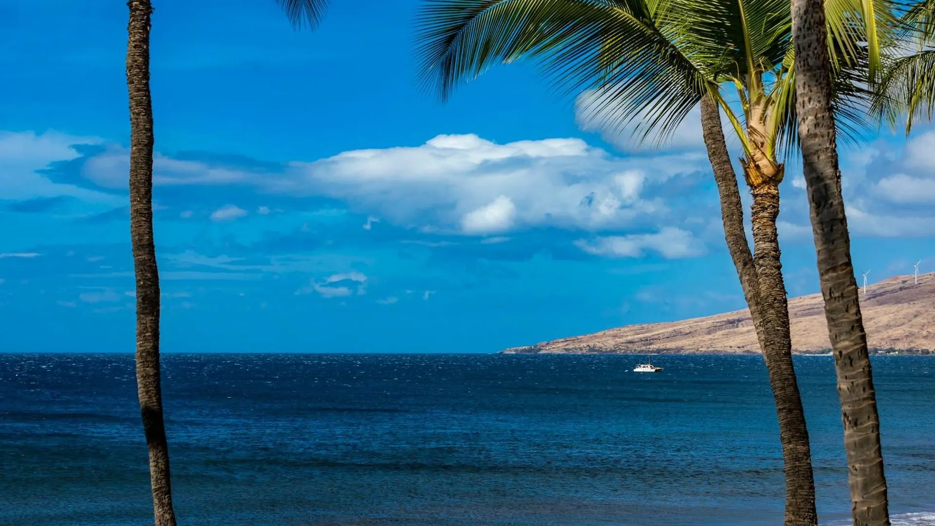 Sugar Beach 334 - Mch Kihei 0*,
