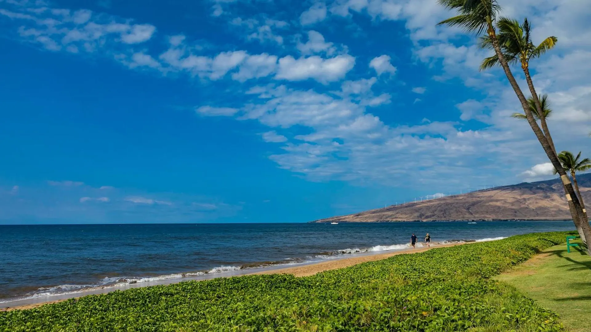 Casa vacanze Sugar Beach 334 - Mch Kihei