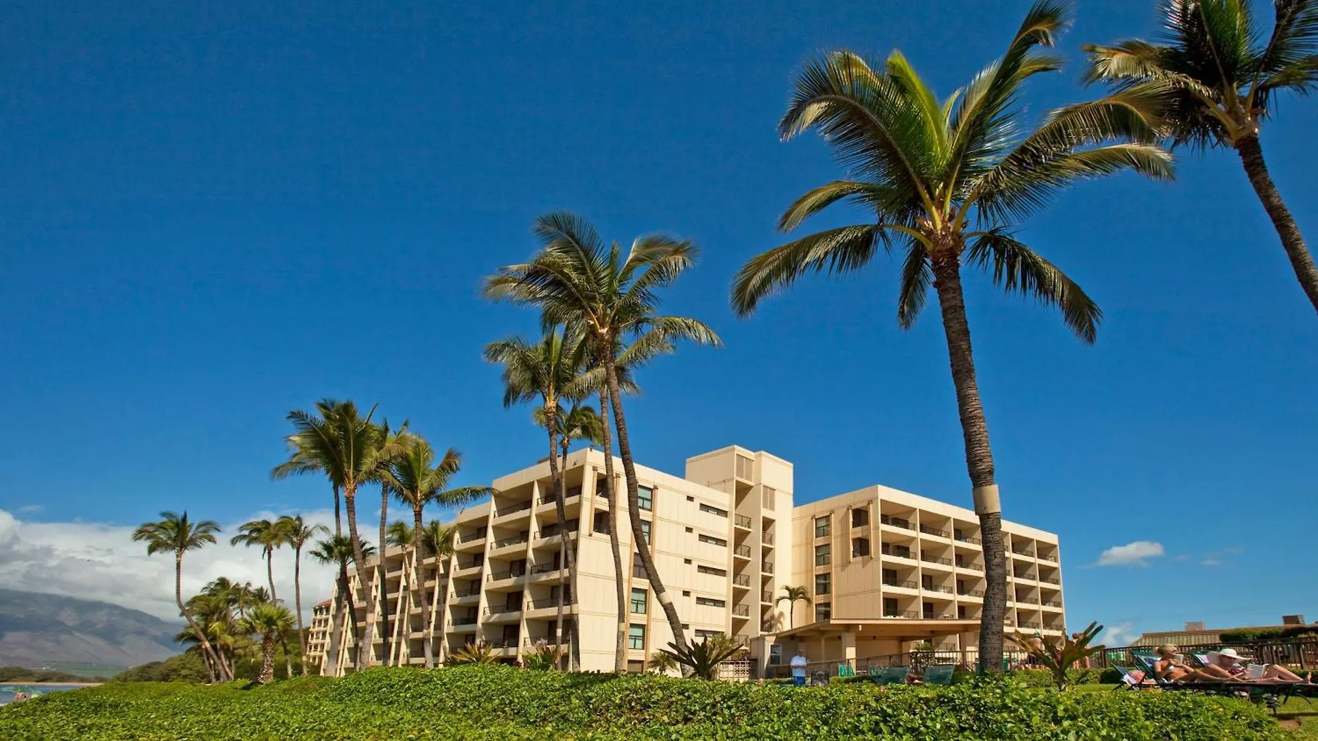 Casa vacanze Sugar Beach 334 - Mch Kihei