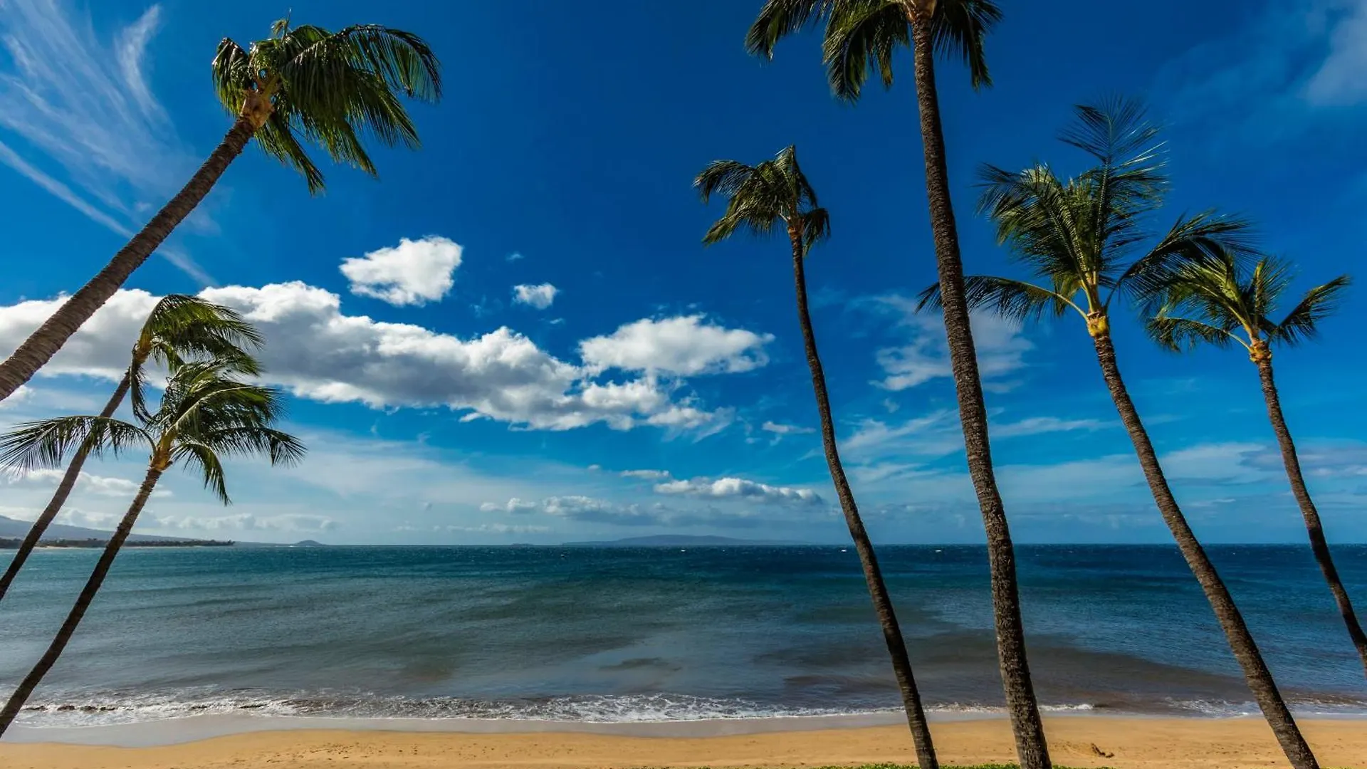 Sugar Beach 334 - Mch Kihei